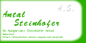 antal steinhofer business card